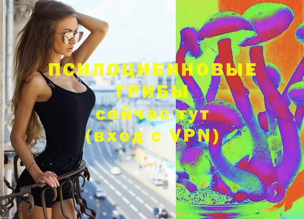 ПСИЛОЦИБИНОВЫЕ ГРИБЫ Навашино