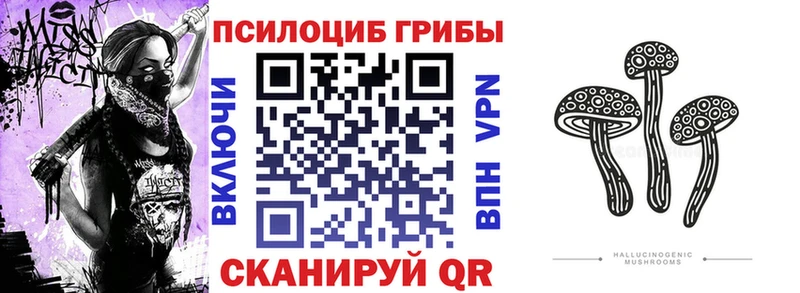 кракен как зайти купить Златоуст Псилоцибиновые грибы GOLDEN TEACHER