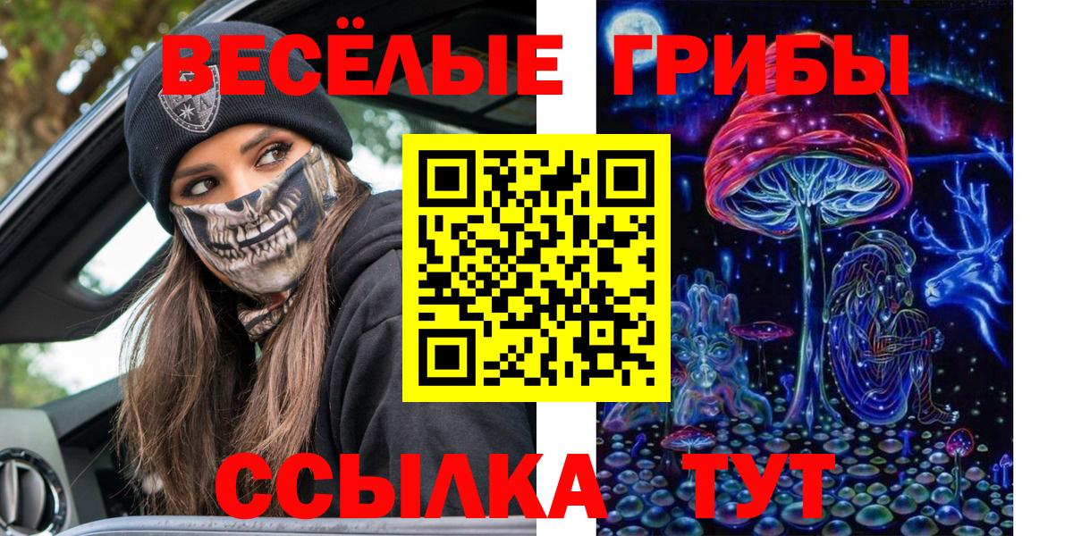 Златоуст  Псилоцибиновые грибы мицелий  купить закладку  Вход с VPN 
